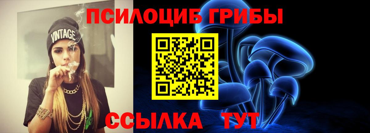 Псилоцибиновые грибы Cubensis  Вход с VPN  Старая Купавна  Псилоцибиновые грибы GOLDEN TEACHER 